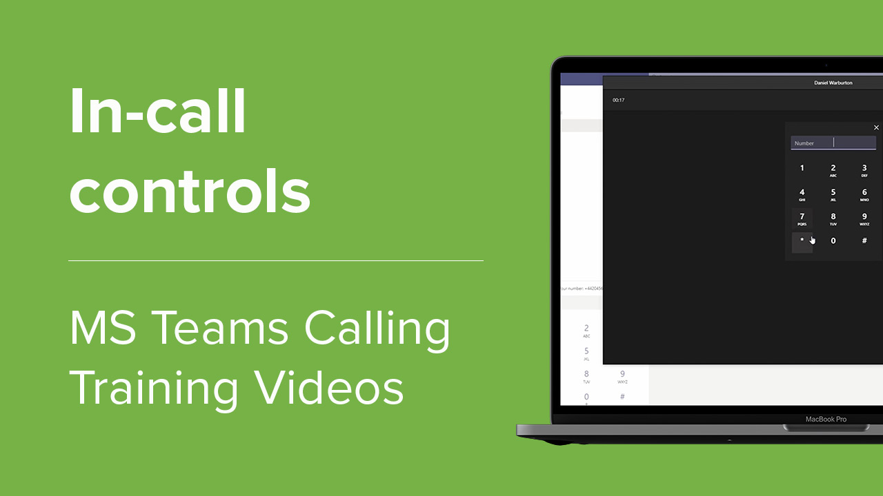 In-call controls